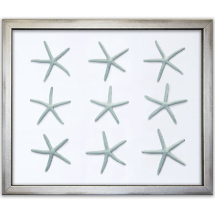 Blue Starfish on White Silk - WJC Design