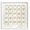 25 Keyhole Sand Dollars - WJC Design