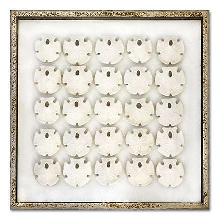 25 Keyhole Sand Dollars - WJC Design