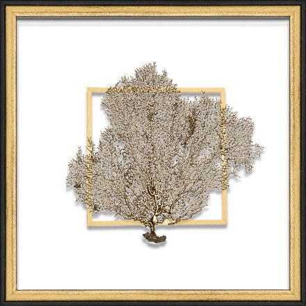 Gold Sea Fan - WJC Design