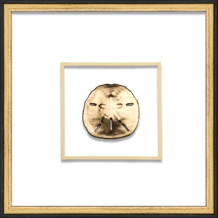 Gold Sand Dollar - WJC Design