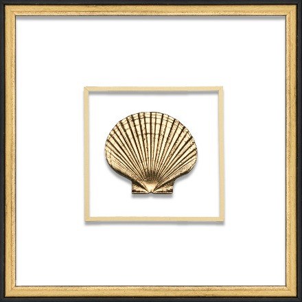 Gold Scallop - WJC Design