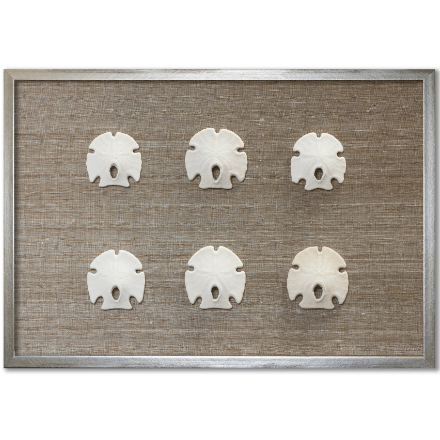Keyhole Sand Dollars on Brown - WJC Design