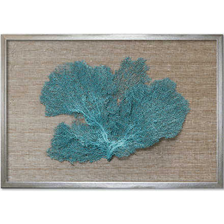 Teal Sea Fan on Brown - WJC Design