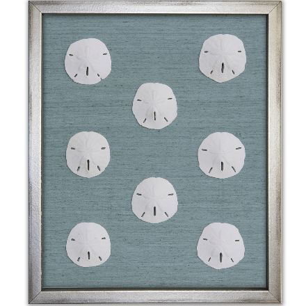 Sand Dollars on Blue - WJC Design
