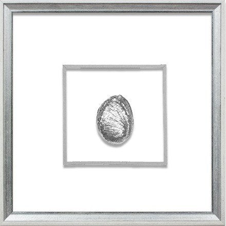 Silver Abalone - WJC Design