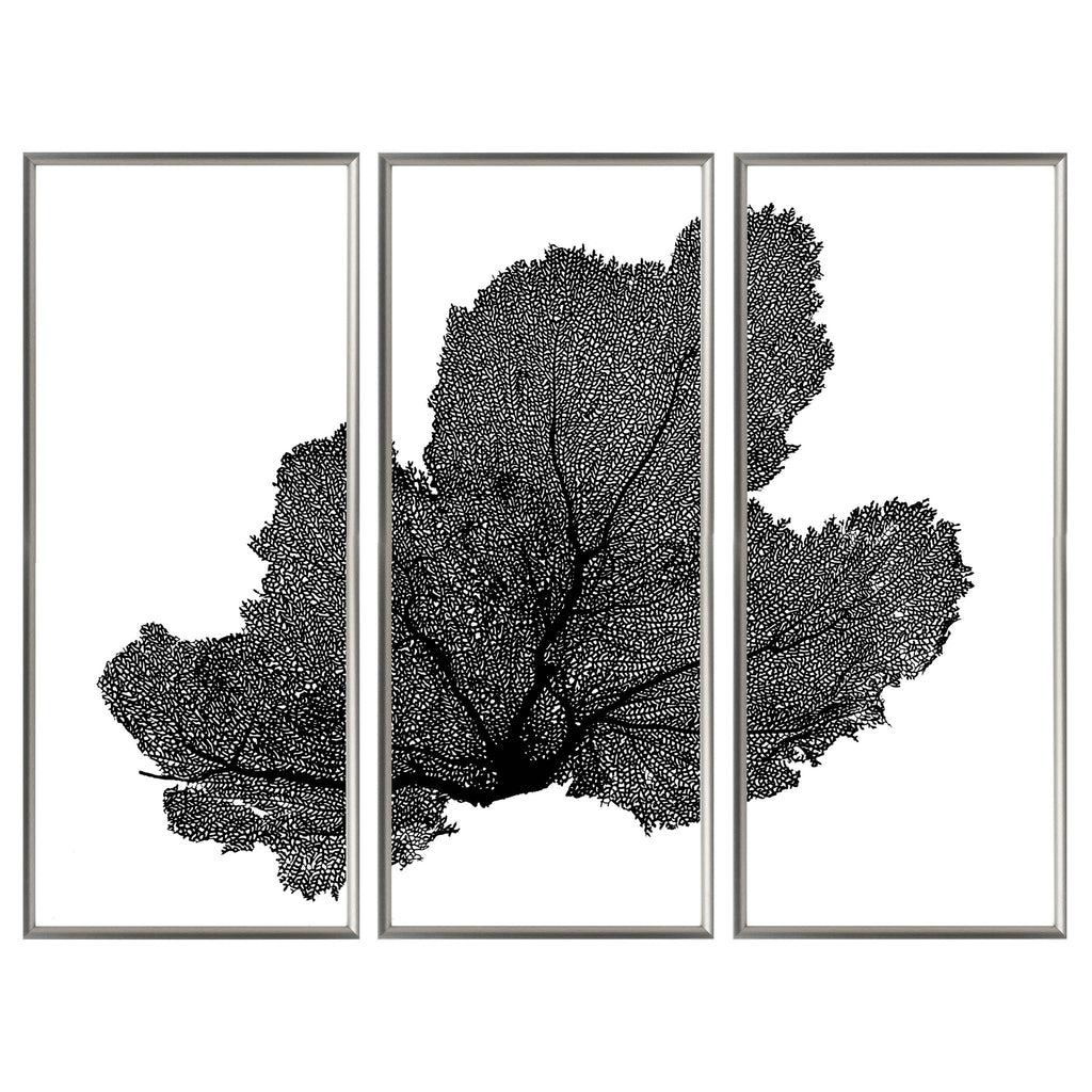 Sea Fan Triptych - WJC Design