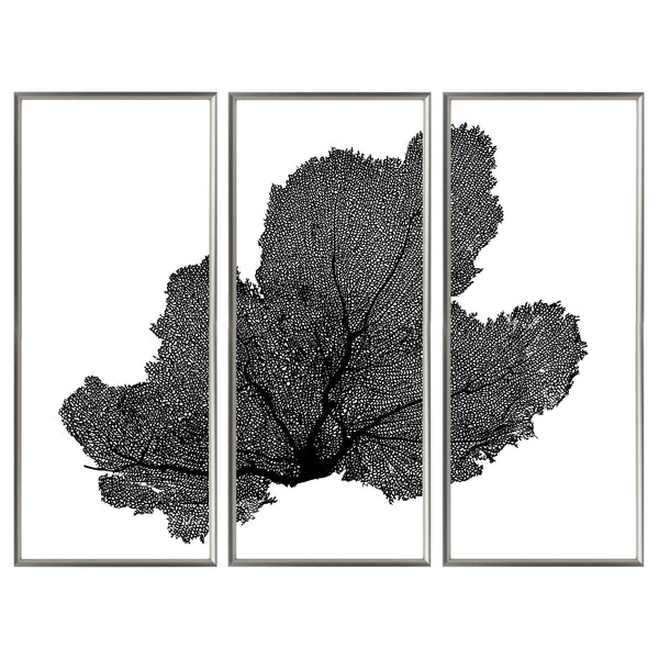 Sea Fan Triptych - WJC Design