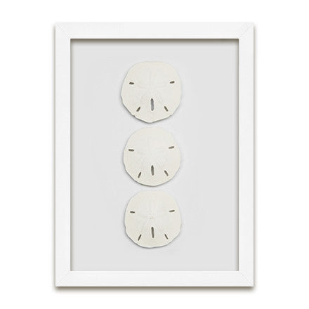 Florida Sand Dollars – WJC Design + Ambler Art Group