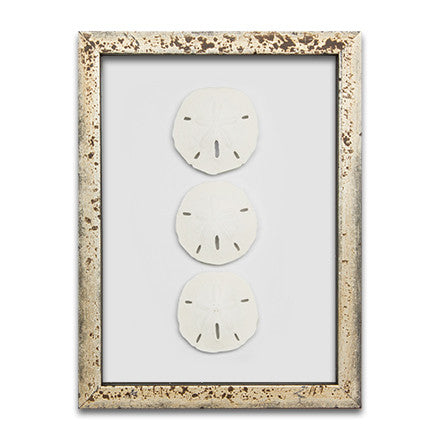 9 x 12 Starfish and Sand Dollars - WJC Design