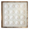 16 Florida Sand Dollars - WJC Design