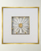 Selenite - WJC Design