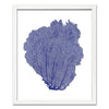 15 x 18" Classic Sea Fan - WJC Design