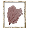 15 x 18" Classic Sea Fan - WJC Design