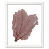 15 x 18" Classic Sea Fan - WJC Design