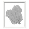 15 x 18" Classic Sea Fan - WJC Design