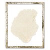 15 x 18" Classic Sea Fan - WJC Design