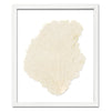 15 x 18" Classic Sea Fan - WJC Design
