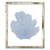 15 x 18" Classic Sea Fan - WJC Design