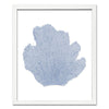 15 x 18" Classic Sea Fan - WJC Design