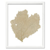 15 x 18" Classic Sea Fan - WJC Design