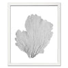 15 x 18" Classic Sea Fan - WJC Design