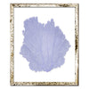15 x 18" Classic Sea Fan - WJC Design