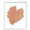 15 x 18" Classic Sea Fan - WJC Design