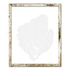 15 x 18" Classic Sea Fan - WJC Design