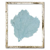 15 x 18" Classic Sea Fan - WJC Design