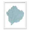 15 x 18" Classic Sea Fan - WJC Design