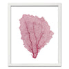 15 x 18" Classic Sea Fan - WJC Design