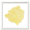 30 x 30" Classic Sea Fan - WJC Design