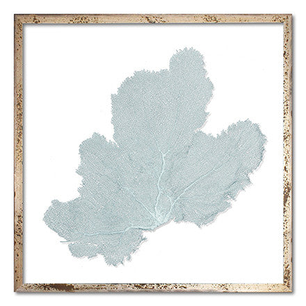 30 x 30" Classic Sea Fan - WJC Design