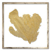 20 x 20" Classic Sea Fan - WJC Design