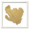 20 x 20" Classic Sea Fan - WJC Design