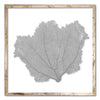 20 x 20" Classic Sea Fan - WJC Design