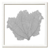 30 x 30" Classic Sea Fan - WJC Design