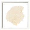 30 x 30" Classic Sea Fan - WJC Design