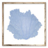 20 x 20" Classic Sea Fan - WJC Design
