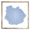 30 x 30" Classic Sea Fan - WJC Design