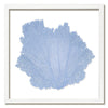 30 x 30" Classic Sea Fan - WJC Design