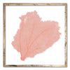 30 x 30" Classic Sea Fan - WJC Design