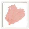 20 x 20" Classic Sea Fan - WJC Design