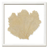 30 x 30" Classic Sea Fan - WJC Design