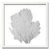 30 x 30" Classic Sea Fan - WJC Design