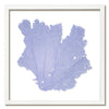 30 x 30" Classic Sea Fan - WJC Design