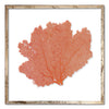 30 x 30" Classic Sea Fan - WJC Design