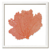 20 x 20" Classic Sea Fan - WJC Design