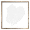 20 x 20" Classic Sea Fan - WJC Design